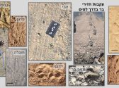 עקבות בעלי חיים בחול