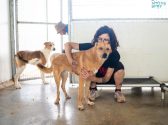 בחורה עם משקפיים מנשקת ומחבקת בכלוב, כלב חום, בגודל בינוני. הוא מביט קדימה.