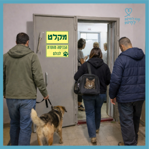 חדר מדרגות ובו דלת מקלט פתוחה ועליה שלט: "הכניסה מותרת לכולם". אדם עם כלב מוחזק ברצועה, אישה עם תיק ובו חתול ואדם במעיל כחול, נכנסים למקלט.