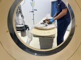 כלב שוכב על מיטת וטרינר בדרך לבדיקת CT