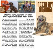 עזה