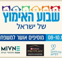 המסורת נמשכת: שבוע האימוץ של ישראל 2025 יוצא לדרך