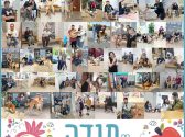 קולאז' תמונות של אנשים עם כלבים וחתולים שאימצו.