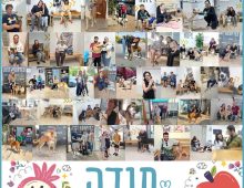 קולאז' תמונות של אנשים עם כלבים וחתולים שאימצו.