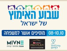 יום אימוץ סוכות
