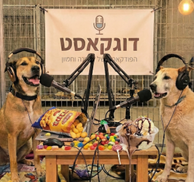 שני כלבים עם אוזניות על האוזניים, מדברים למיקרופון כשעל השולחן מלא חטיפים ובמבה מפוזרת.