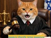 חתול ג'ינג'י לבוש בחליפה שחורה ועניבה חומה, יושב ומכה בפטיש של שופט בבית משפט.