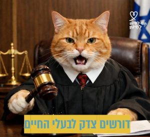 חתול ג'ינג'י לבוש בחליפה שחורה ועניבה חומה, יושב ומכה בפטיש של שופט בבית משפט.
