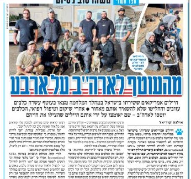 חיילים אמריקנים ששירתו בישראל במהלך המלחמה מצאו בעוטף עשרה כלבים עזובים והחליטו שלא להשאיר אותם מאחור. אחרי שיקום וטיפול רפואי, הכלבים יוטסו לארה"ב - שם יאומצו על ידי אותם חיילים שהצילו את חייהם