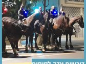 סוסים עומדים בשורה ועליהם יושבים שוטרים.