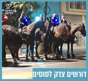 סוסים עומדים בשורה ועליהם יושבים שוטרים.