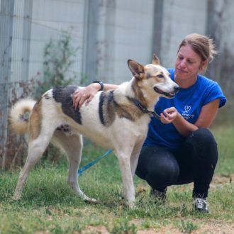 בחורה ג'ינג'ית ששיערה אסוף, לבושה בחולצה כחולה קצרה וטייץ שחור, יושבת ומחבקת כלב חום לבן בגודל בינוני. היא מביטה עליו. הם נמצאים בחוץ, על הדשא.