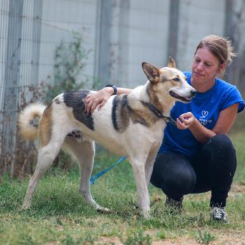 בחורה ג'ינג'ית ששיערה אסוף, לבושה בחולצה כחולה קצרה וטייץ שחור, יושבת ומחבקת כלב חום לבן בגודל בינוני. היא מביטה עליו. הם נמצאים בחוץ, על הדשא.