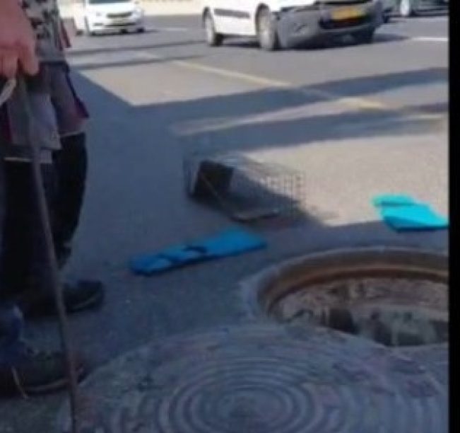 בור ביוב פתוח על כביש מהיר