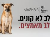 כלב חום בגודל בינוני יושב