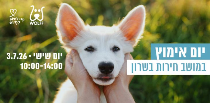 כפות ידיים עוטפות את פניו של גור כלבים לבן