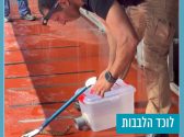 אדם מתכוף ולוכד נחש.