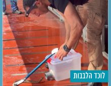 אדם מתכוף ולוכד נחש.