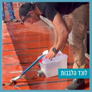 אדם מתכוף ולוכד נחש.