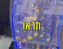 אקווריום עם דגים צבעוניים
