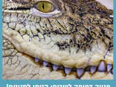 תמונת תקריב על פניו של תנין
