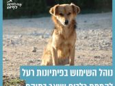 כלב חום בגודל בינוני יושב עזוב