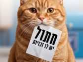 חתול ג'ינג'י אוחז בפיו פתק