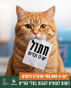 חתול ג'ינג'י אוחז בפיו פתק