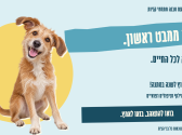 כלב חום לבן בגודל בינוני, מטה ראשו ימינה על רקע כחול צהוב.