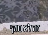 בריכת מים עכורה ובתוכה פיו של דג שמנסה לנשום