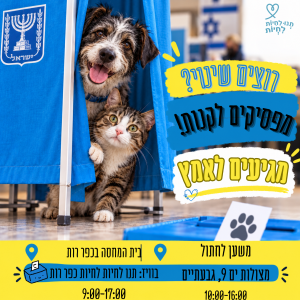 כלב וחתול מציצים מאחורי פרגוד כחול